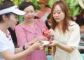 “夜YEAH欢营盛夏”之广州亲子露营美食大赛来了