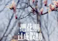赏花 · 飨春 一路繁花愿您不负沁暮春意，一席春菜让您得尝人间烟火。