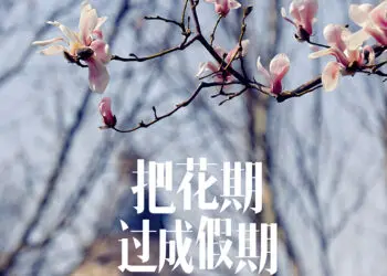 赏花 · 飨春 一路繁花愿您不负沁暮春意，一席春菜让您得尝人间烟火。