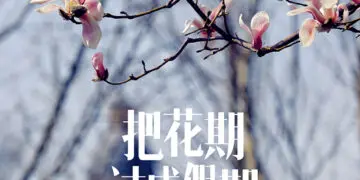 赏花 · 飨春 一路繁花愿您不负沁暮春意，一席春菜让您得尝人间烟火。