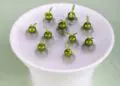 万味奇遇 · 春遇江南 ǀ 飨味溧阳