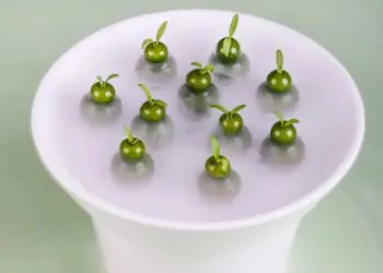 万味奇遇 · 春遇江南 ǀ 飨味溧阳