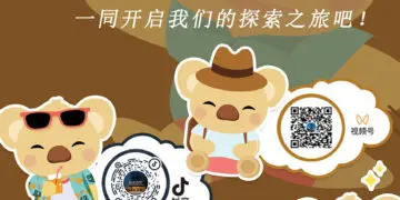 本期的旅游攻略 “强的可怕”