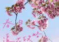 风递花信｜春日赏花攻略请查收