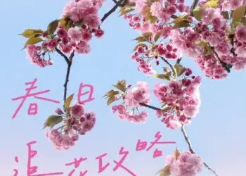 风递花信｜春日赏花攻略请查收