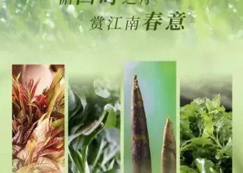 时令臻味 春飨采悦 | SPRING SAVOR YUE
