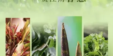 时令臻味 春飨采悦 | SPRING SAVOR YUE