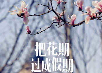 赏花 · 飨春 一路繁花愿您不负沁暮春意，一席春菜让您得尝人间烟火。