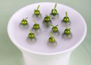 万味奇遇 · 春遇江南 ǀ 飨味溧阳