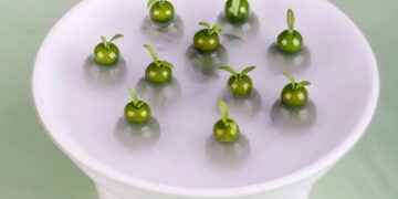 万味奇遇 · 春遇江南 ǀ 飨味溧阳