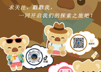 本期的旅游攻略 “强的可怕”