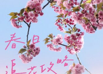 风递花信｜春日赏花攻略请查收