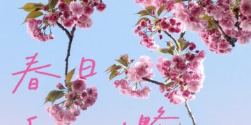 风递花信｜春日赏花攻略请查收