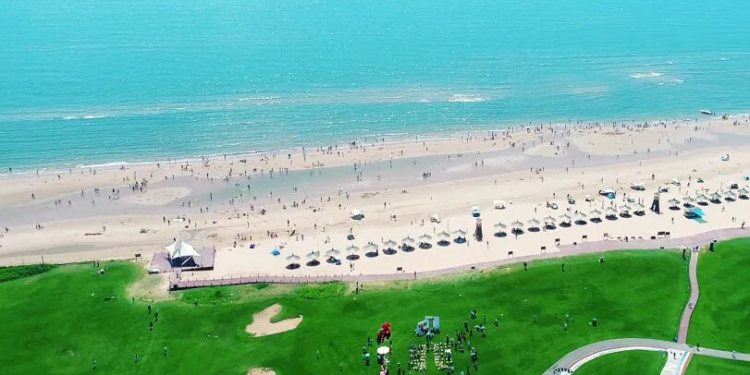 愈见·时间海 | 阿尔卡迪亚的自然回响