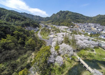 千年匠艺里的江南婚典目的地