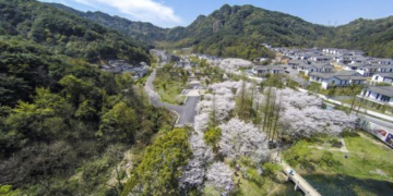 千年匠艺里的江南婚典目的地